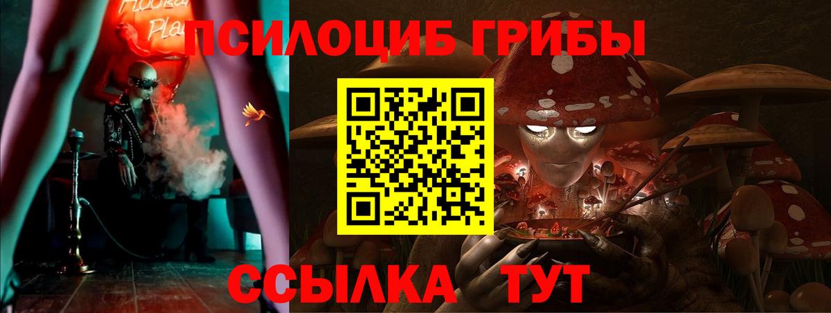 Галлюциногенные грибы Magic Shrooms Мурино
